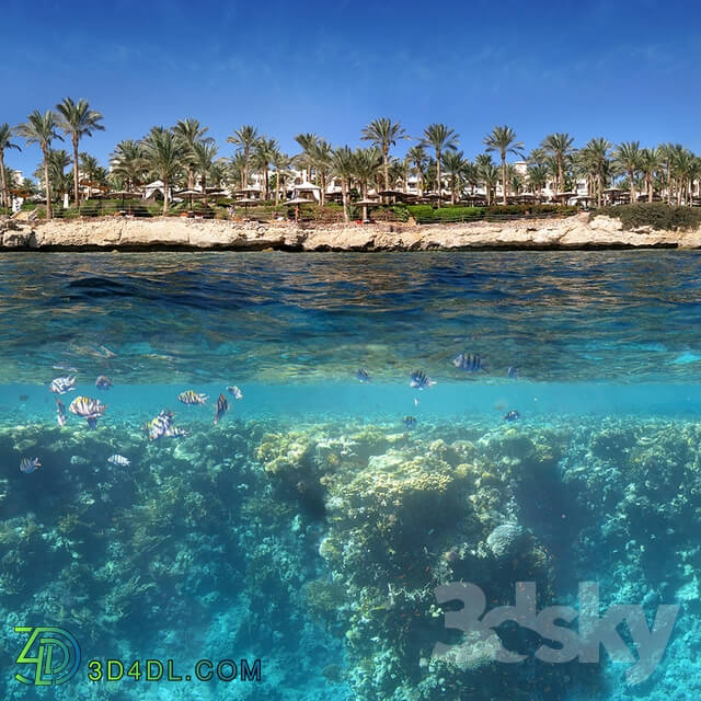 Panorama - Panorama of the shore and the underwater world