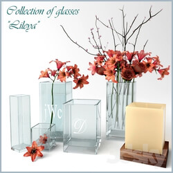 Plant - Collection of glasses Lileya 