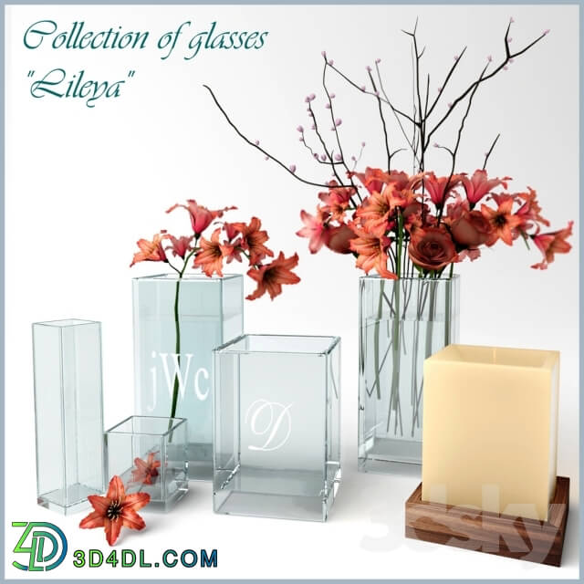 Plant - Collection of glasses Lileya