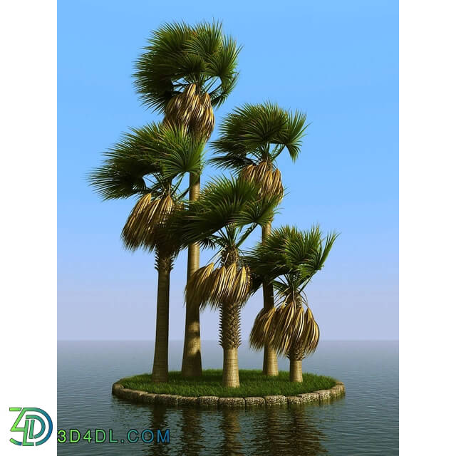 3dMentor HQPalms-03 (61) sabal palm wind