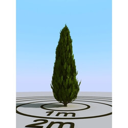 3dMentor HQPlants-02 (002) cypress 1 