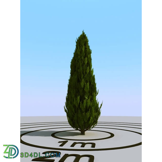 3dMentor HQPlants-02 (002) cypress 1