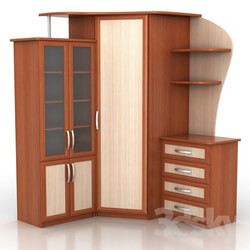 Wardrobe _ Display cabinets - corner wardrobe 