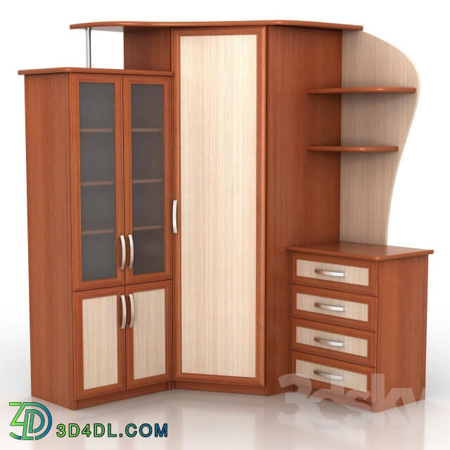 Wardrobe _ Display cabinets - corner wardrobe