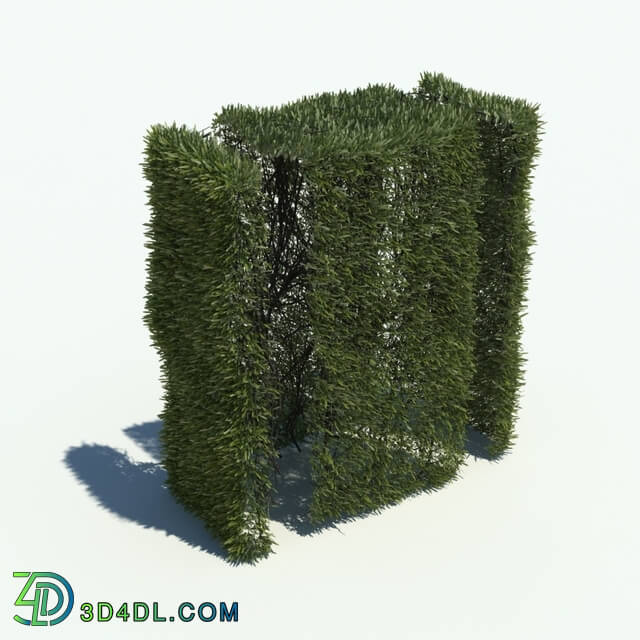 ArchModels Vol126 (145) hedge v1