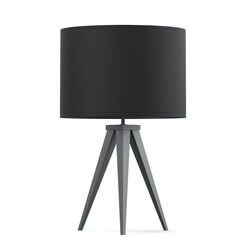 CGaxis Vol114 (28) black table lamp 