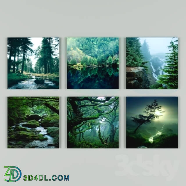 Frame - Forest_set_1