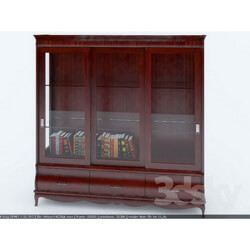 Wardrobe _ Display cabinets - Showcase Pagina 