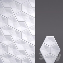 Other decorative objects - 3D Wall Tiles 