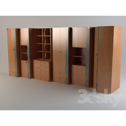 Wardrobe _ Display cabinets - Kapitan_ cabinets 