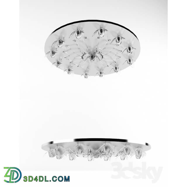 Ceiling light - Chandelier