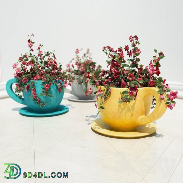 Plant - flowers in vases_ cups _cup flower pots_