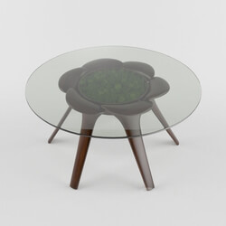 Table - Coffee table style Ecostyle with moss under the sink 