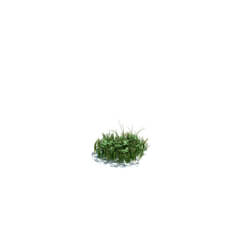 ArchModels Vol124 (115) simple grass small v1 