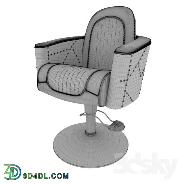 Beauty salon - Chair man__39_s MD-239_ Madison