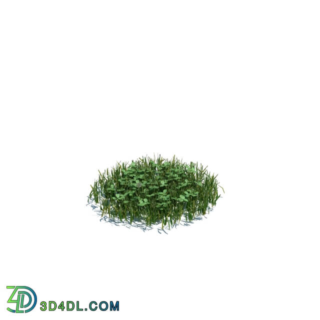 ArchModels Vol124 (116) simple grass medium v2