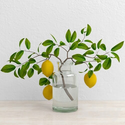 Plant - Lemons on branch 