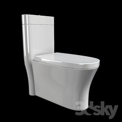 Toilet and Bidet - Flush toilet 