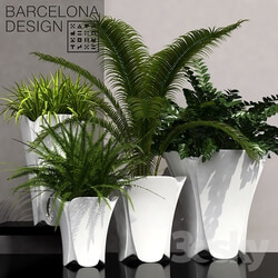 Plant - Barcelona design flowerpots set 02 