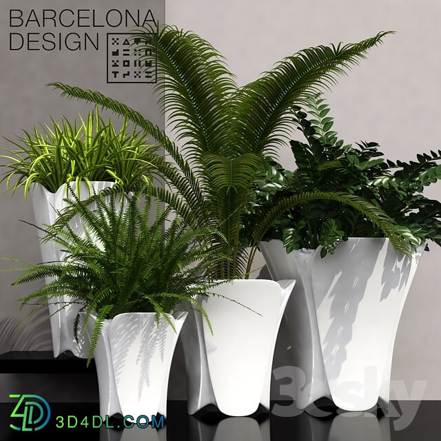 Plant - Barcelona design flowerpots set 02