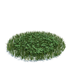 ArchModels Vol124 (117) simple grass large v3 