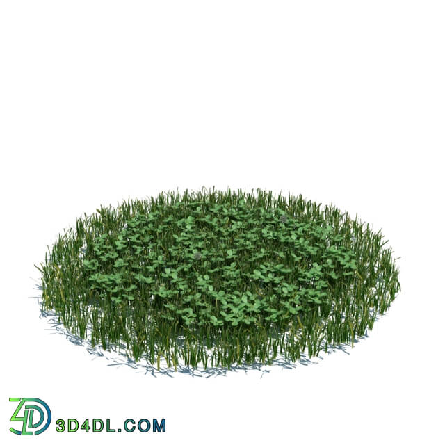 ArchModels Vol124 (117) simple grass large v3