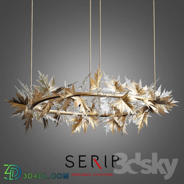 Ceiling light - Bijout Oval Chandelier by Serip Lighting