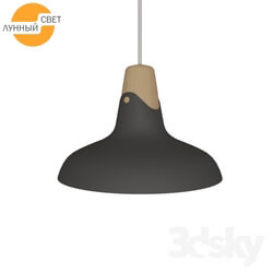 Ceiling light - Suspension light 482206 