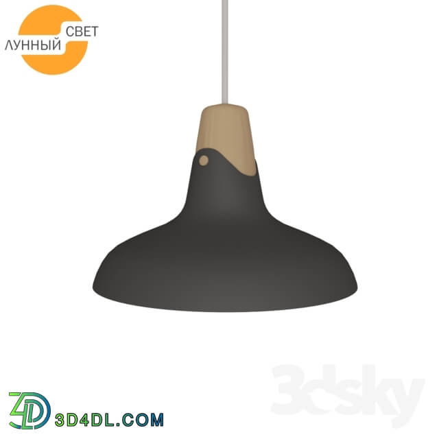 Ceiling light - Suspension light 482206