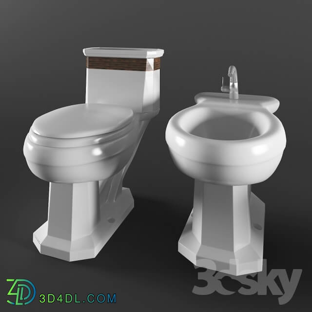 Toilet and Bidet - Toilet and bidet