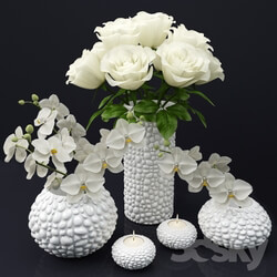 Vase - Vase with flowers 