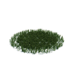 ArchModels Vol126 (015) simple grass large v3 