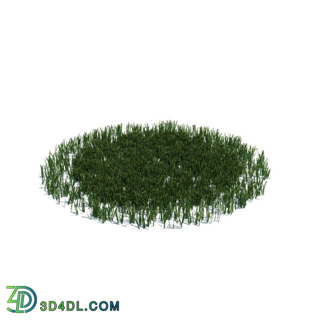 ArchModels Vol126 (015) simple grass large v3