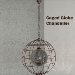 Ceiling light - Halo _ Caged Globe 