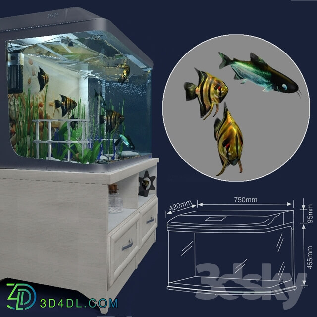 Other decorative objects - Aquarium with pedestal