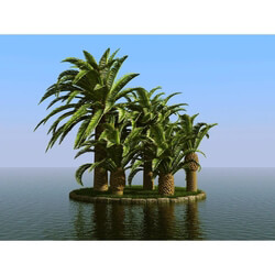 3dMentor HQPalms-03 (67) wild date palm wind 