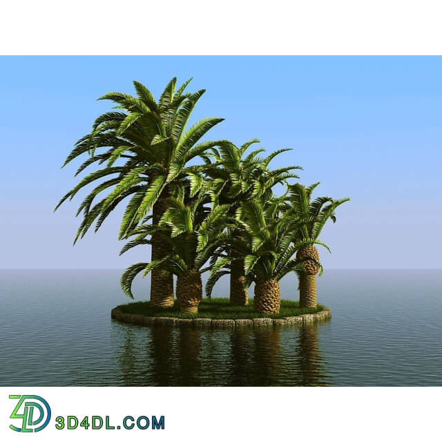 3dMentor HQPalms-03 (67) wild date palm wind