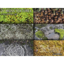Natural materials - MOSS and Lichen 