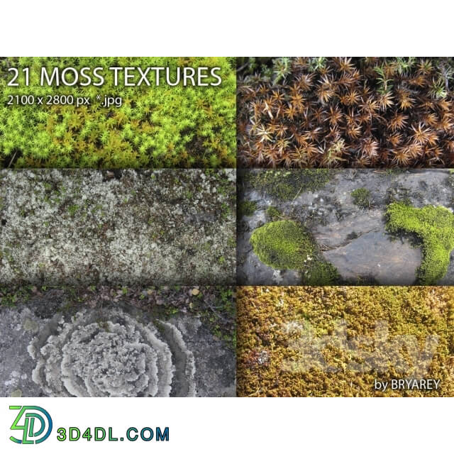 Natural materials - MOSS and Lichen