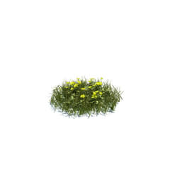 ArchModels Vol124 (119) simple grass medium v2 