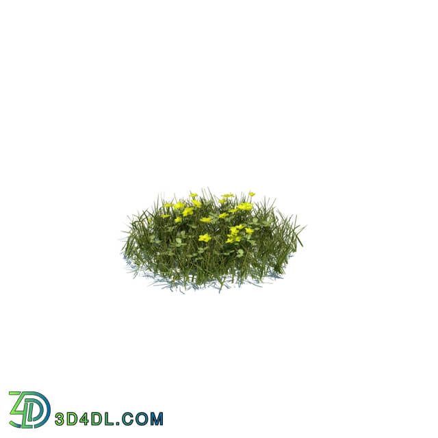 ArchModels Vol124 (119) simple grass medium v2