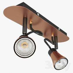 Technical lighting - Lussole LOFT LSL-6801-02 