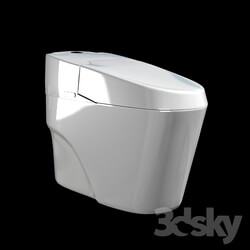 Toilet and Bidet - Flush toilet 