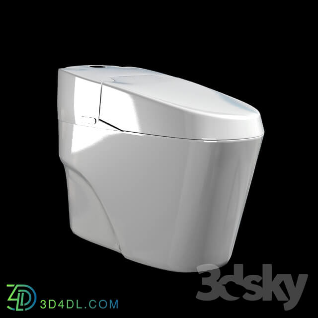 Toilet and Bidet - Flush toilet