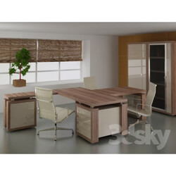 Office furniture - The Cabinet of the customer 