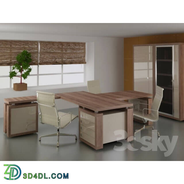 Office furniture - The Cabinet of the customer