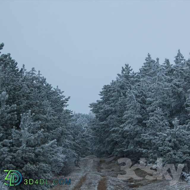 Panorama - Snow wood