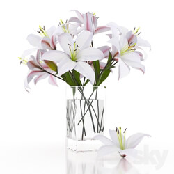 Plant - Bouquet of lilies 