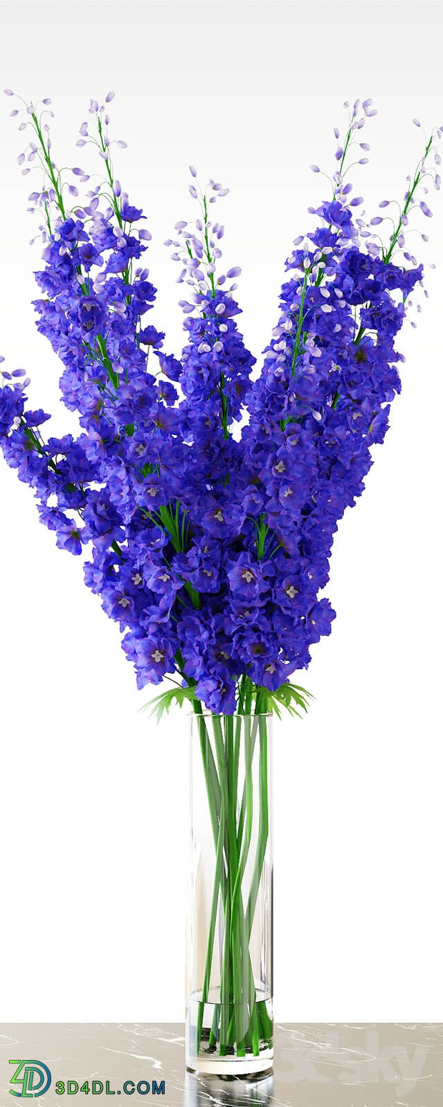 Plant - Delphinium _ Blue