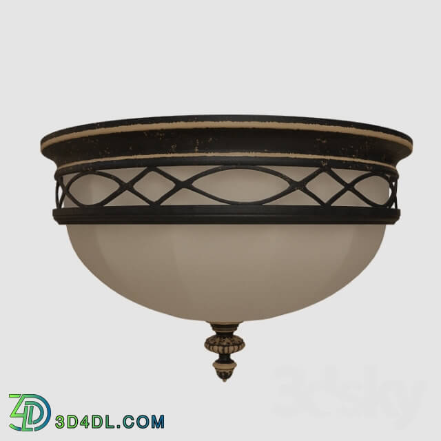 Ceiling light - cover RoomFM